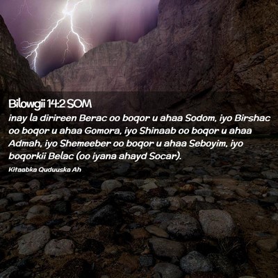 Picture 02 - Bilowgii 14:2 SOM - inay la dirireen Berac oo boqor u ahaa Sodom, iyo - Bible Verse Picture