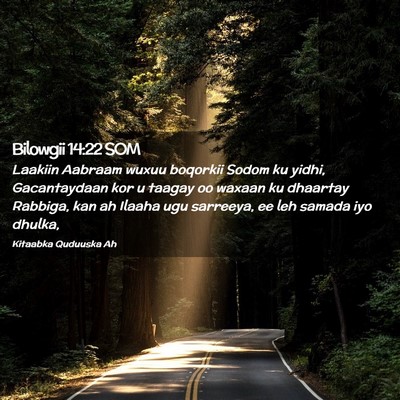 Picture 02 - Bilowgii 14:22 SOM - Laakiin Aabraam wuxuu boqorkii Sodom ku yidhi, - Bible Verse Picture