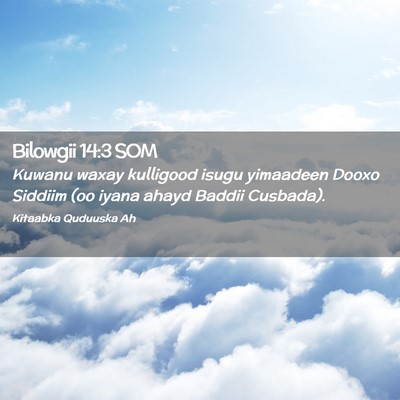 Picture 02 - Bilowgii 14:3 SOM - Kuwanu waxay kulligood isugu yimaadeen Dooxo - Bible Verse Picture