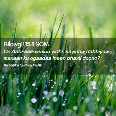 Picture 02 - Bilowgii 15:8 SOM - Oo Aabraam wuxuu yidhi, Sayidow Rabbiyow, maxaan - Bible Verse Picture
