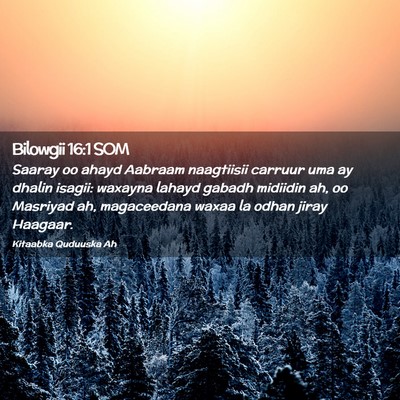 Picture 02 - Bilowgii 16:1 SOM - Saaray oo ahayd Aabraam naagtiisii carruur uma ay - Bible Verse Picture