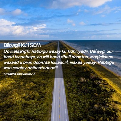 Picture 02 - Bilowgii 16:11 SOM - Oo malaa'igtii Rabbigu waxay ku tidhi iyadii, Bal - Bible Verse Picture
