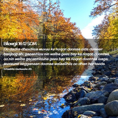 Picture 02 - Bilowgii 16:12 SOM - Oo dadka dhexdiisa wuxuu ku noqon doonaa sida - Bible Verse Picture
