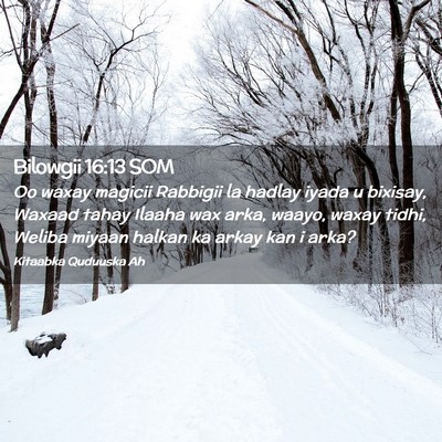 Picture 02 - Bilowgii 16:13 SOM - Oo waxay magicii Rabbigii la hadlay iyada u - Bible Verse Picture