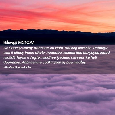 Picture 02 - Bilowgii 16:2 SOM - Oo Saaray waxay Aabraam ku tidhi, Bal eeg - Bible Verse Picture