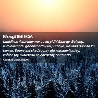 Picture 02 - Bilowgii 16:6 SOM - Laakiinse Aabraam wuxuu ku yidhi Saaray, Bal eeg, - Bible Verse Picture
