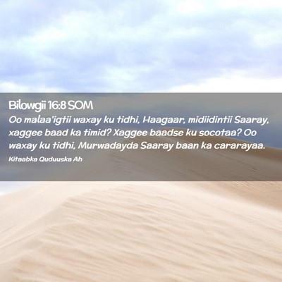 Picture 02 - Bilowgii 16:8 SOM - Oo malaa'igtii waxay ku tidhi, Haagaar, - Bible Verse Picture