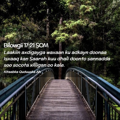 Picture 02 - Bilowgii 17:21 SOM - Laakiin axdigayga waxaan ku adkayn doonaa Isxaaq - Bible Verse Picture