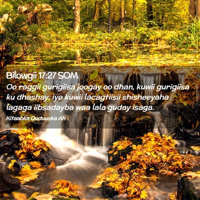 Picture 02 - Bilowgii 17:27 SOM - Oo raggii gurigiisa joogay oo dhan, kuwii - Bible Verse Picture