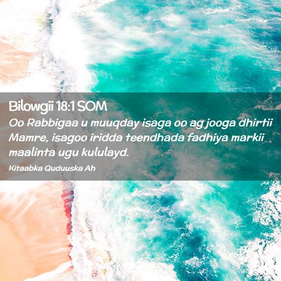 Picture 02 - Bilowgii 18:1 SOM - Oo Rabbigaa u muuqday isaga oo ag jooga dhirtii - Bible Verse Picture