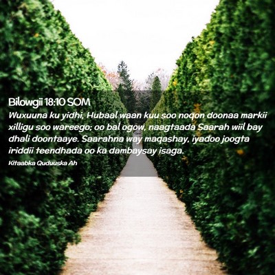 Picture 02 - Bilowgii 18:10 SOM - Wuxuuna ku yidhi, Hubaal waan kuu soo noqon - Bible Verse Picture