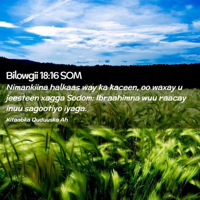 Picture 02 - Bilowgii 18:16 SOM - Nimankiina halkaas way ka kaceen, oo waxay u - Bible Verse Picture