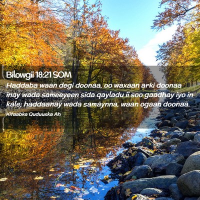 Picture 02 - Bilowgii 18:21 SOM - Haddaba waan degi doonaa, oo waxaan arki doonaa - Bible Verse Picture