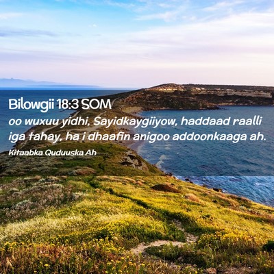 Picture 02 - Bilowgii 18:3 SOM - oo wuxuu yidhi, Sayidkaygiiyow, haddaad raalli - Bible Verse Picture