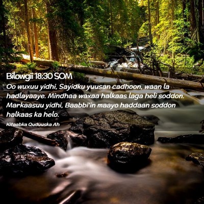 Picture 02 - Bilowgii 18:30 SOM - Oo wuxuu yidhi, Sayidku yuusan cadhoon, waan la - Bible Verse Picture