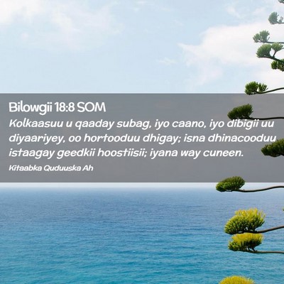 Picture 02 - Bilowgii 18:8 SOM - Kolkaasuu u qaaday subag, iyo caano, iyo dibigii - Bible Verse Picture