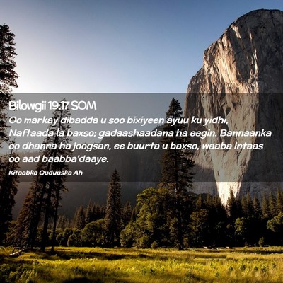 Picture 02 - Bilowgii 19:17 SOM - Oo markay dibadda u soo bixiyeen ayuu ku yidhi, - Bible Verse Picture