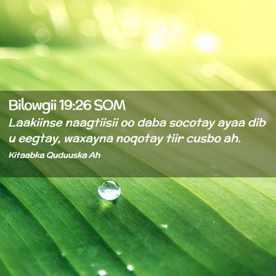 Picture 02 - Bilowgii 19:26 SOM - Laakiinse naagtiisii oo daba socotay ayaa dib u - Bible Verse Picture