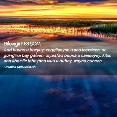 Picture 02 - Bilowgii 19:3 SOM - Aad buuna u baryay; xaggiisayna u soo leexdeen, - Bible Verse Picture