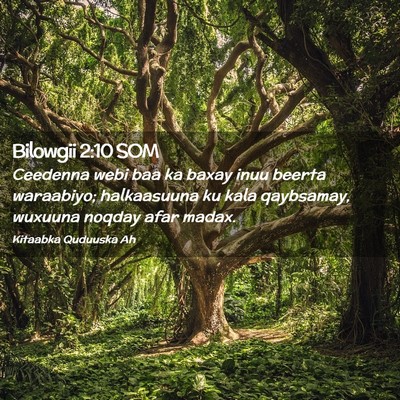 Picture 02 - Bilowgii 2:10 SOM - Ceedenna webi baa ka baxay inuu beerta waraabiyo; - Bible Verse Picture