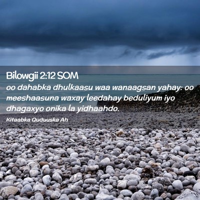 Picture 02 - Bilowgii 2:12 SOM - oo dahabka dhulkaasu waa wanaagsan yahay: oo - Bible Verse Picture