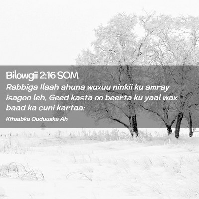 Picture 02 - Bilowgii 2:16 SOM - Rabbiga Ilaah ahuna wuxuu ninkii ku amray isagoo - Bible Verse Picture