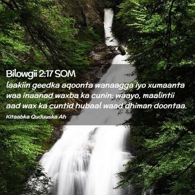 Picture 02 - Bilowgii 2:17 SOM - laakiin geedka aqoonta wanaagga iyo xumaanta waa - Bible Verse Picture