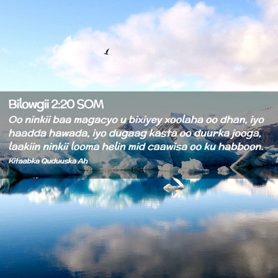 Picture 02 - Bilowgii 2:20 SOM - Oo ninkii baa magacyo u bixiyey xoolaha oo dhan, - Bible Verse Picture