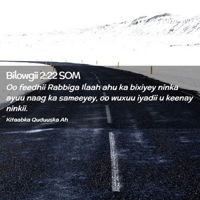 Picture 02 - Bilowgii 2:22 SOM - Oo feedhii Rabbiga Ilaah ahu ka bixiyey ninka - Bible Verse Picture