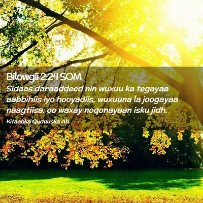 Picture 02 - Bilowgii 2:24 SOM - Sidaas daraaddeed nin wuxuu ka tegayaa aabbihiis - Bible Verse Picture
