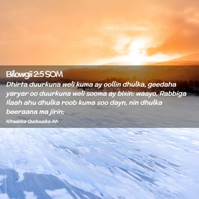 Picture 02 - Bilowgii 2:5 SOM - Dhirta duurkuna weli kuma ay oollin dhulka, - Bible Verse Picture