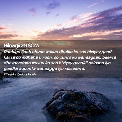 Picture 02 - Bilowgii 2:9 SOM - Rabbiga Ilaah ahuna wuxuu dhulka ka soo bixiyey - Bible Verse Picture