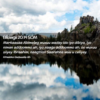 Picture 02 - Bilowgii 20:14 SOM - Markaasaa Abimeleg wuxuu waday ido iyo dibiyo, - Bible Verse Picture