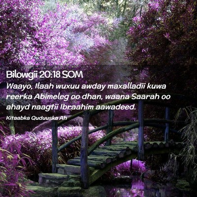 Picture 02 - Bilowgii 20:18 SOM - Waayo, Ilaah wuxuu awday maxalladii kuwa reerka - Bible Verse Picture