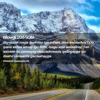 Picture 02 - Bilowgii 20:5 SOM - Miyuusan isaga qudhiisu igu odhan, Waa walaashay? - Bible Verse Picture