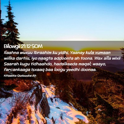 Picture 02 - Bilowgii 21:12 SOM - Ilaahna wuxuu Ibraahim ku yidhi, Yaanay kula - Bible Verse Picture
