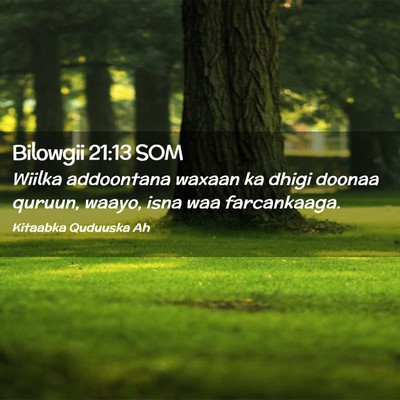 Picture 02 - Bilowgii 21:13 SOM - Wiilka addoontana waxaan ka dhigi doonaa quruun, - Bible Verse Picture