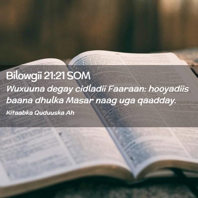 Picture 02 - Bilowgii 21:21 SOM - Wuxuuna degay cidladii Faaraan: hooyadiis baana - Bible Verse Picture