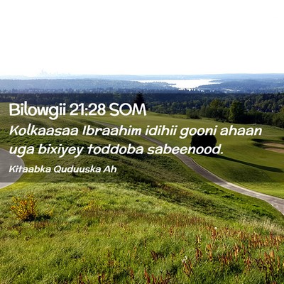 Picture 02 - Bilowgii 21:28 SOM - Kolkaasaa Ibraahim idihii gooni ahaan uga bixiyey - Bible Verse Picture