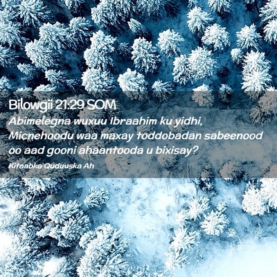 Picture 02 - Bilowgii 21:29 SOM - Abimelegna wuxuu Ibraahim ku yidhi, Micnehoodu - Bible Verse Picture