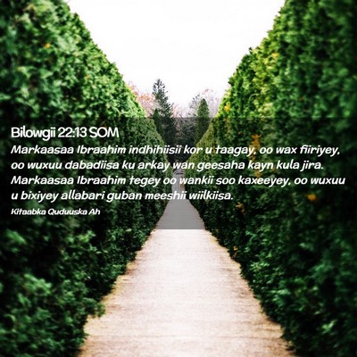 Picture 02 - Bilowgii 22:13 SOM - Markaasaa Ibraahim indhihiisii kor u taagay, oo - Bible Verse Picture