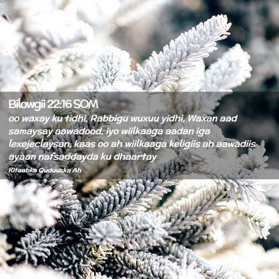 Picture 02 - Bilowgii 22:16 SOM - oo waxay ku tidhi, Rabbigu wuxuu yidhi, Waxan aad - Bible Verse Picture