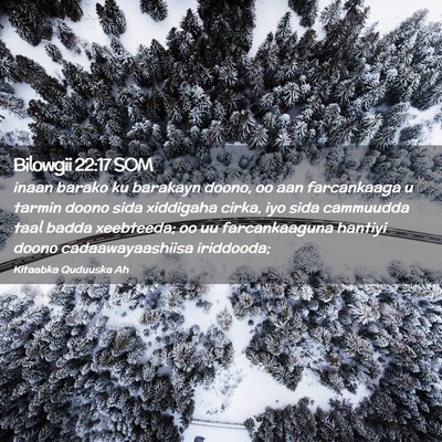 Picture 02 - Bilowgii 22:17 SOM - inaan barako ku barakayn doono, oo aan - Bible Verse Picture