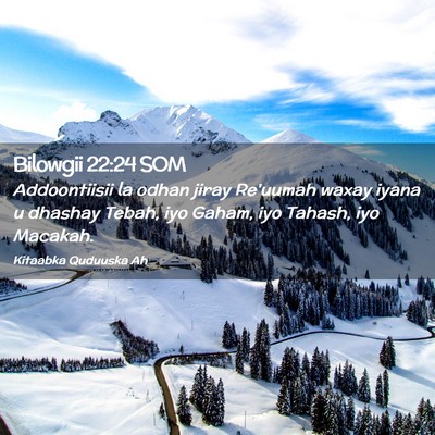 Picture 02 - Bilowgii 22:24 SOM - Addoontiisii la odhan jiray Re'uumah waxay iyana - Bible Verse Picture