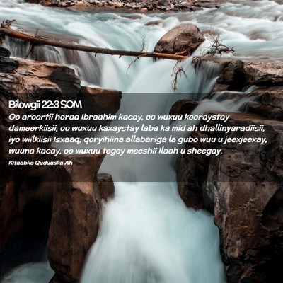 Picture 02 - Bilowgii 22:3 SOM - Oo aroortii horaa Ibraahim kacay, oo wuxuu - Bible Verse Picture