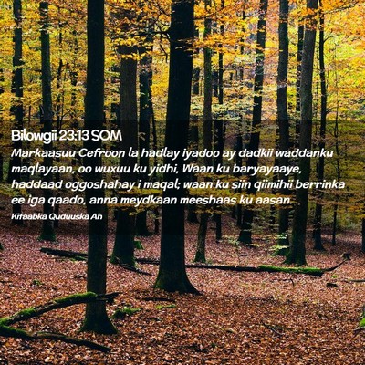 Picture 02 - Bilowgii 23:13 SOM - Markaasuu Cefroon la hadlay iyadoo ay dadkii - Bible Verse Picture