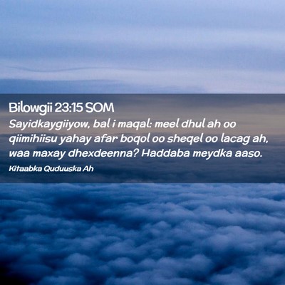 Picture 02 - Bilowgii 23:15 SOM - Sayidkaygiiyow, bal i maqal: meel dhul ah oo - Bible Verse Picture