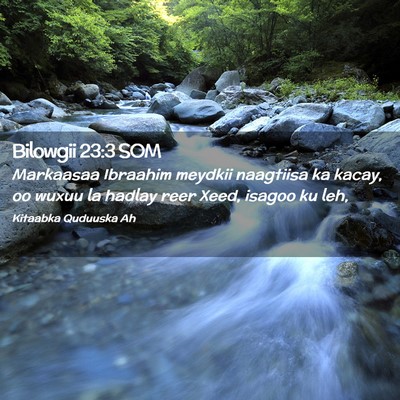 Picture 02 - Bilowgii 23:3 SOM - Markaasaa Ibraahim meydkii naagtiisa ka kacay, oo - Bible Verse Picture
