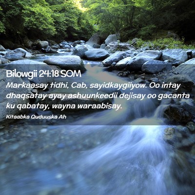 Picture 02 - Bilowgii 24:18 SOM - Markaasay tidhi, Cab, sayidkaygiiyow. Oo intay - Bible Verse Picture