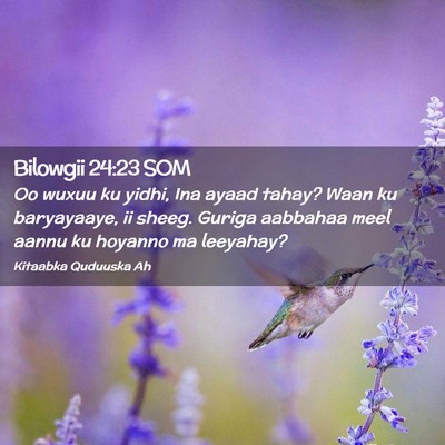 Picture 02 - Bilowgii 24:23 SOM - Oo wuxuu ku yidhi, Ina ayaad tahay? Waan ku - Bible Verse Picture